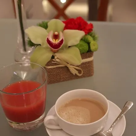 皮科洛西班牙广场套房酒店 罗马